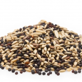 ALIMENT CANARIS ECO