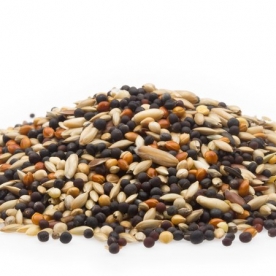 ALIMENTS OISEAUX  VOLIERES
